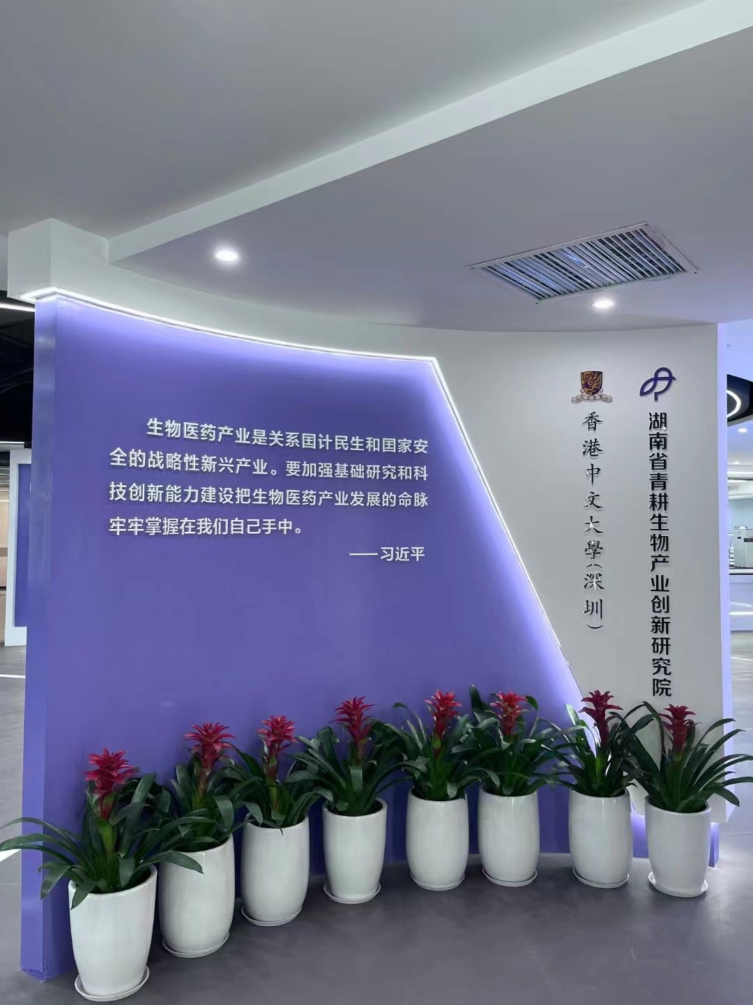 簽約：香港中文大學湖南省青耕生物產業創新研究院策劃設計